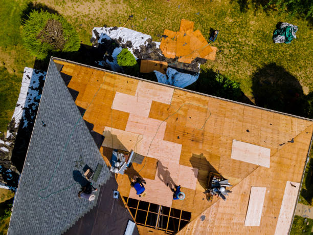 Best Commercial Roofing Services  in Pemberville, OH