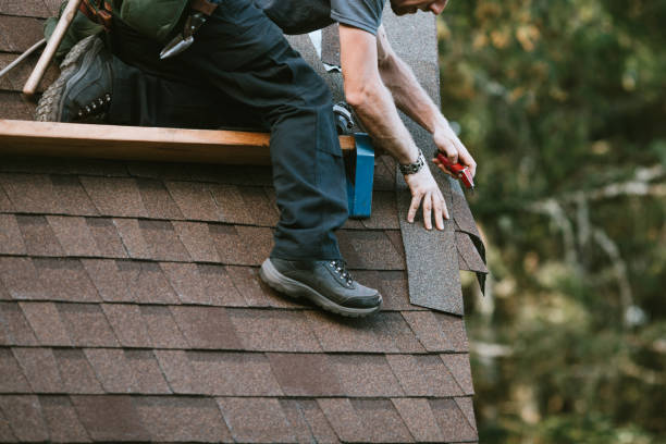 Best Gutter Installation and Roofing  in Pemberville, OH